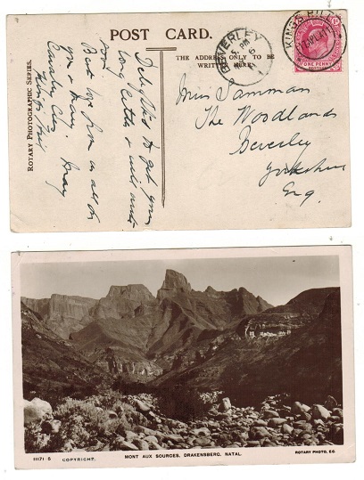 CAPE OF GOOD HOPE - 1911 1d rate postcard to UK used at KINGS HILL.