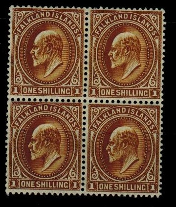 FALKLAND ISLANDS - 1904 1/- brown fine mint block of four.  SG 48.
