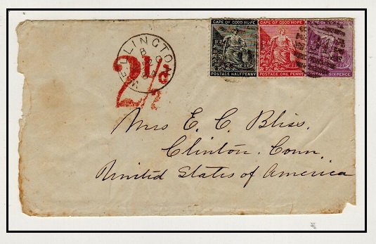 CAPE OF GOOD HOPE - 1884 2 1/2d accountancy mark cover to USA used at WELLINGTON.