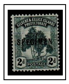 GILBERT AND ELLICE IS - 1911 2d grey mint SPECIMEN.  SG 10.