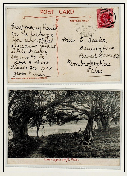 NATAL - 1907 1d rate postcard use to UK cancelled by 