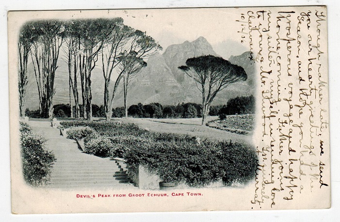 CAPE OF GOOD HOPE - 1905 postcard addressed to UK and used at WELLINGTON.