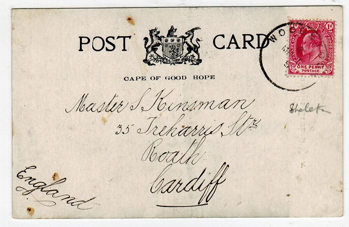 CAPE OF GOOD HOPE - 1905 postcard addressed to UK and used at WOODSTOCK.
