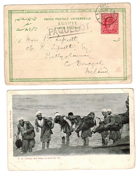 ADEN - 1904 postcard to Ireland with PAQUEBOT boxed strike.