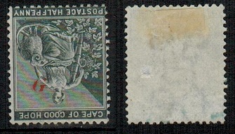 GRIQUALAND WEST - 1878 1/2d grey-black mint with INVERTED G. SG 15a.