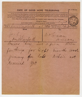 CAPE OF GOOD HOPE - 1886 TELEGRAPHS form cancelled WILLOWMORE.