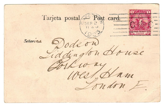 CAPE OF GOOD HOPE - 1902 1d rate postcard use to UK with scarce 