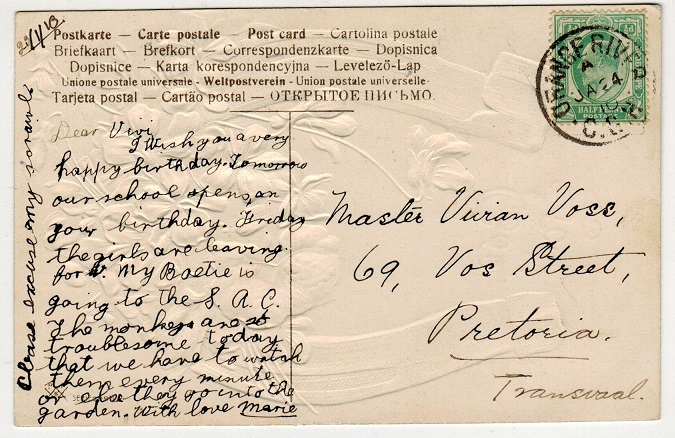 CAPE OF GOOD HOPE - 1910 1/2d local rate postcard use to Pretoria used at ORANGE RIVER.