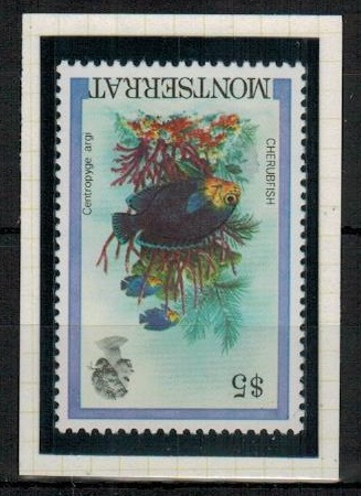 MONTSERRAT - 1981 $5 