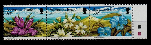 ASCENSION - 1997 