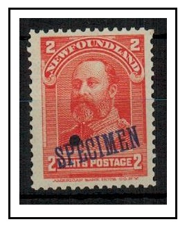 NEWFOUNDLAND - 1897 2c orange (SG type 41) handstamped SPECIMEN in blue.