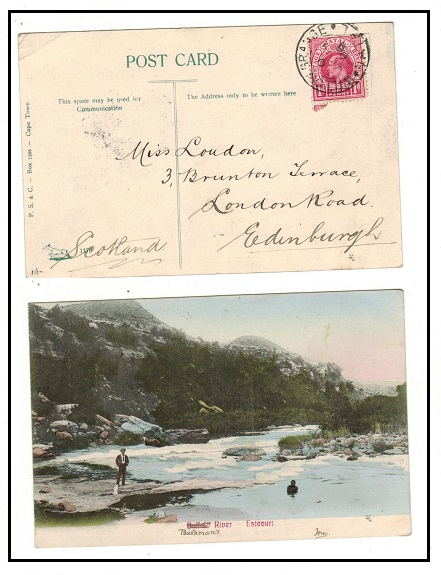 NATAL - 1906 1d rate postcard use to UK used at WILLOW GRANGE.