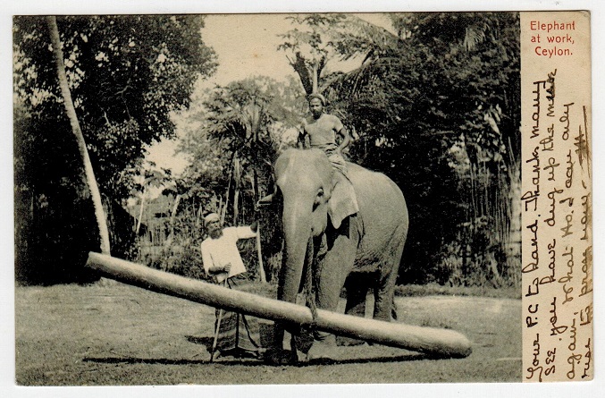 CEYLON - 1906 6c rate postcard to UK used at TALAWAKELE.