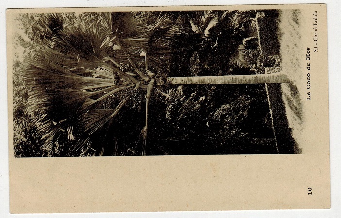 SEYCHELLES - 1902 (circa) unused postcard depicting 